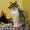 Отзыв от Лилия Елисеева